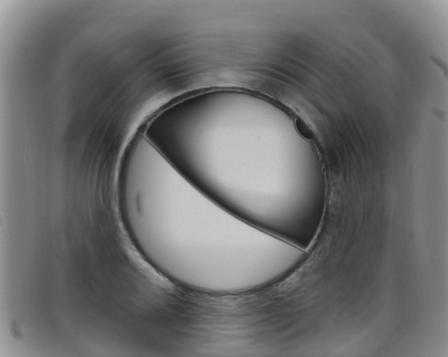 X0000098211080200804241056