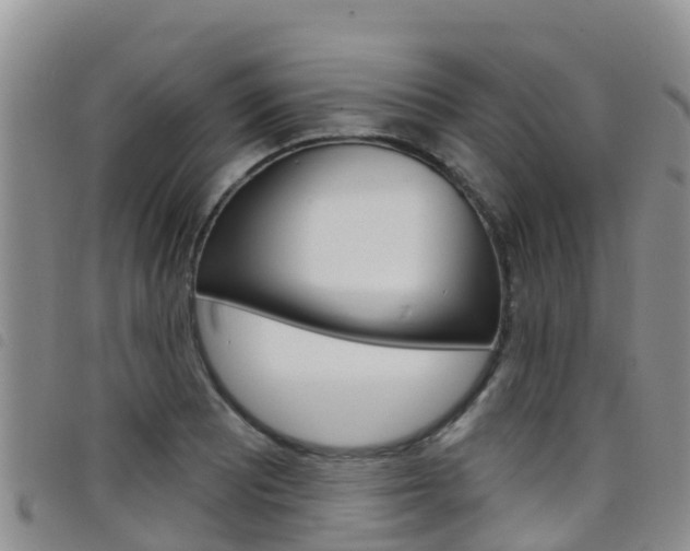 X0000098211081200804241056