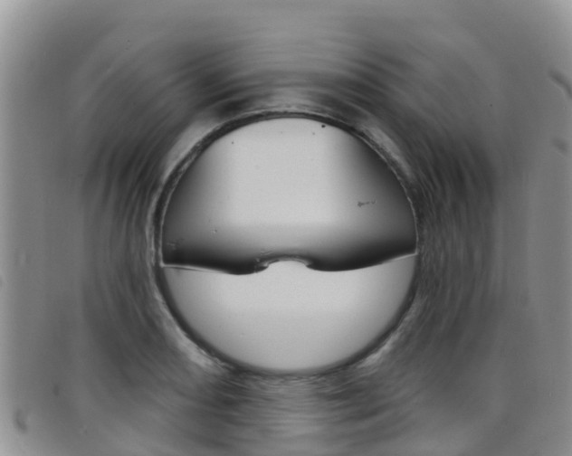 X0000098211082200804241056