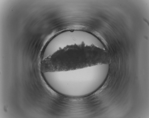 X0000098211083200804241056