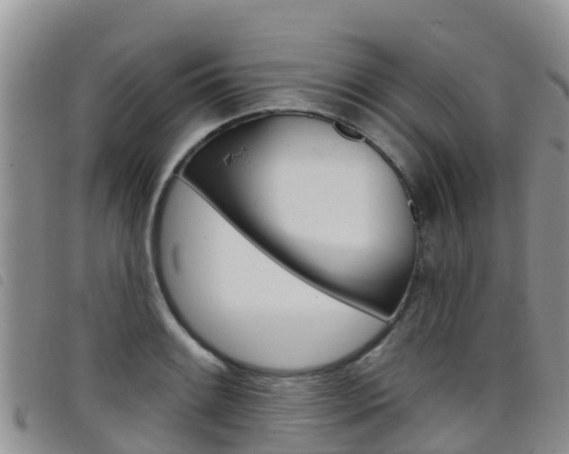 X0000098211084200804241056