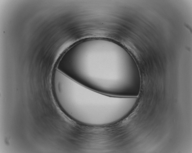 X0000098211085200804241056