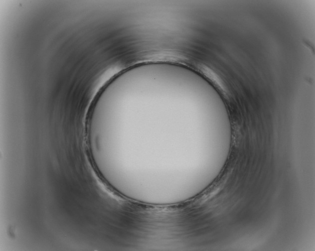 X0000098211087200804241056