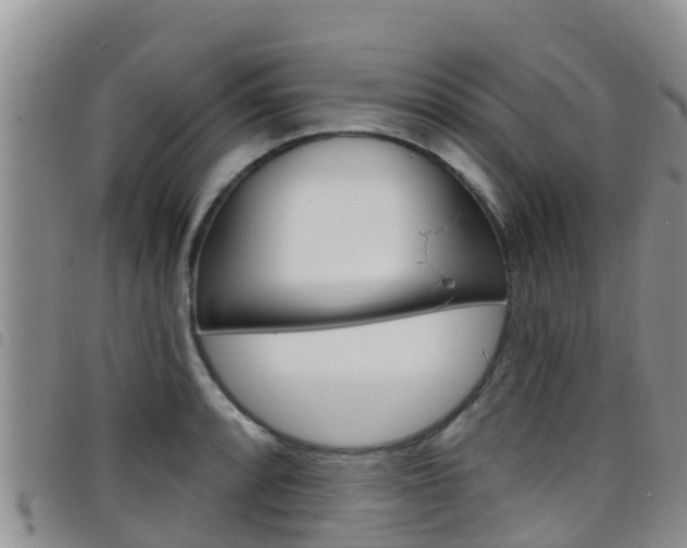 X0000098211088200804241056