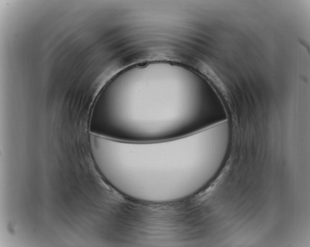 X0000098211089200804241056