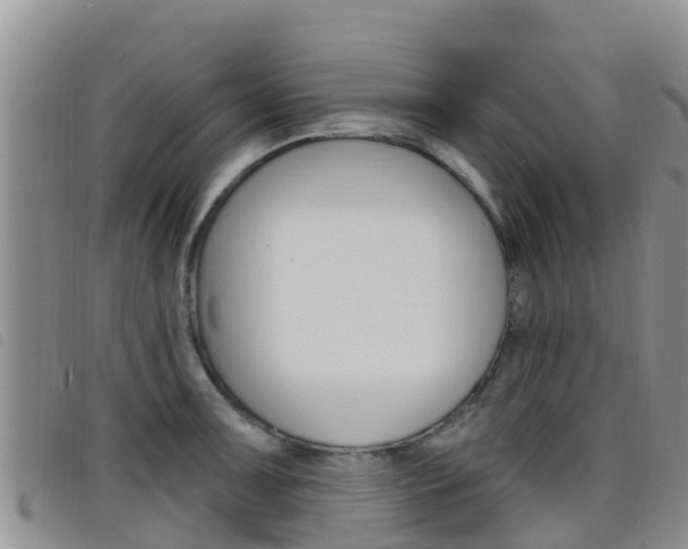 X0000098211091200804241056