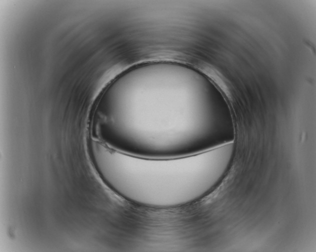 X0000098211093200804241056