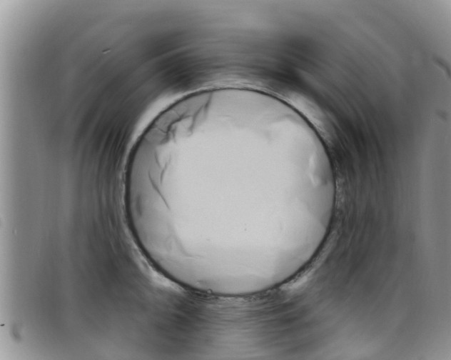 X0000098211094200804241056