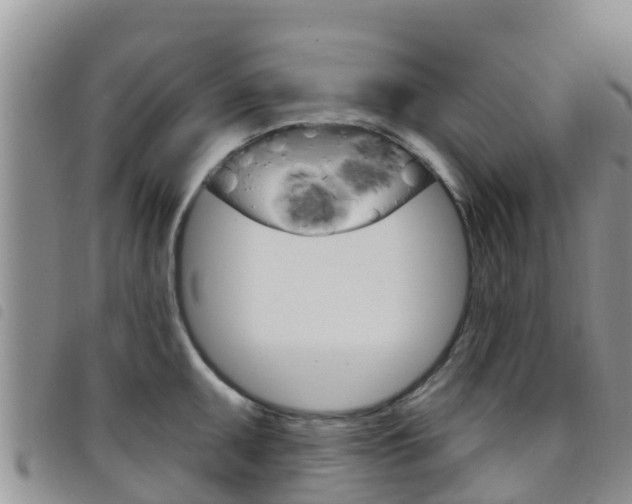 X0000098211095200804241056