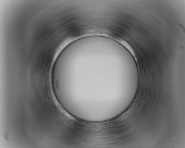 X0000098211096200804241056