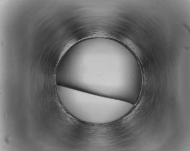 X0000098211097200804241056