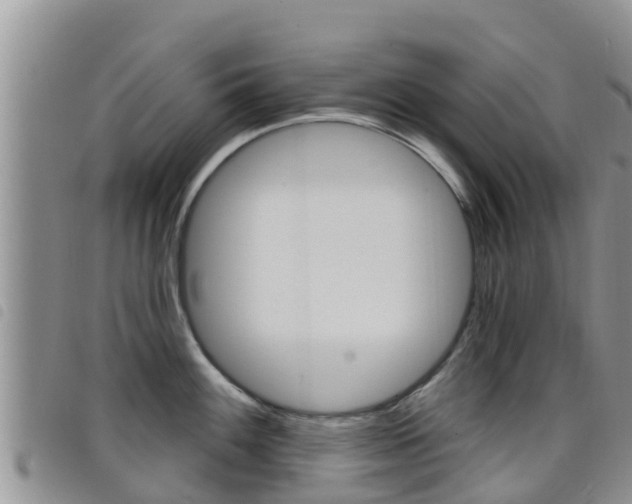 X0000098211100200804241056