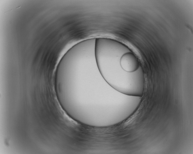 X0000098211102200804241056