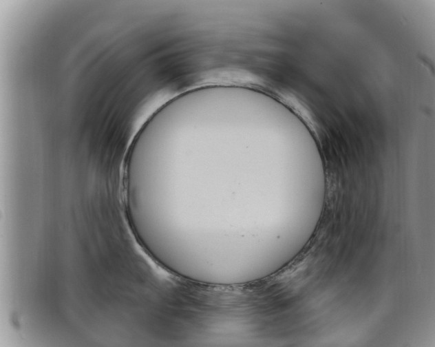 X0000098211103200804241056
