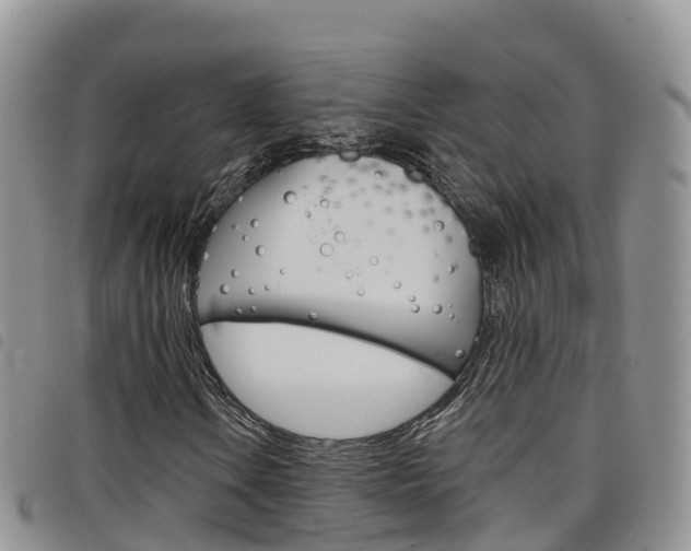 X0000098211106200804241055