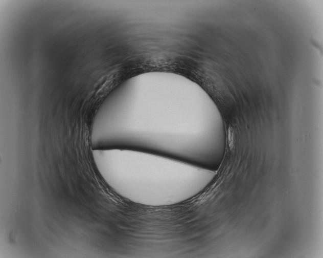 X0000098211107200804241055