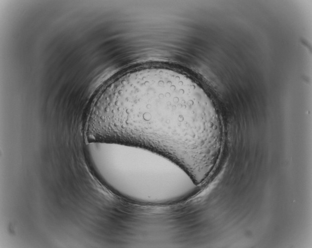X0000098211113200804241055