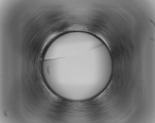 X0000098211123200804241055