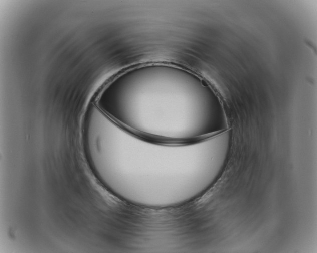 X0000098211124200804241055