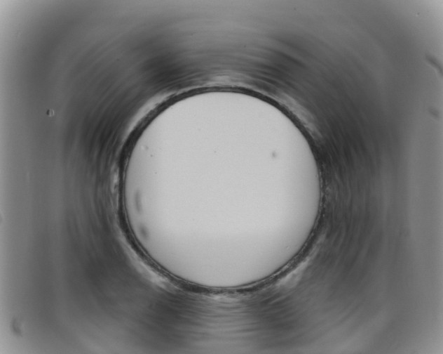 X0000098211126200804241055