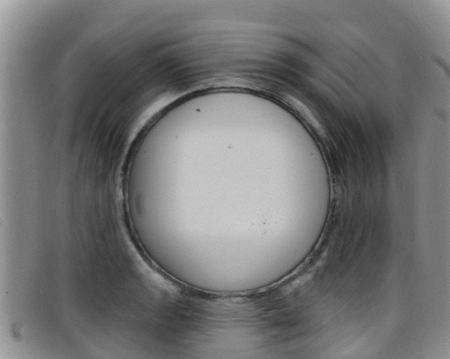 X0000098211133200804241055