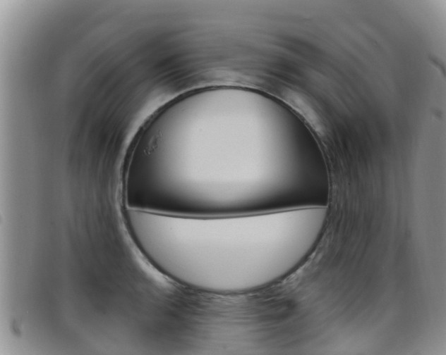 X0000098211136200804241055