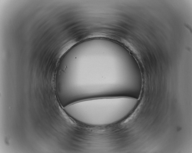 X0000098211137200804241055
