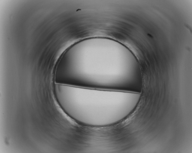 X0000098211142200804241055