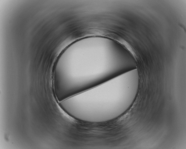 X0000098211143200804241055