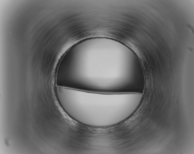 X0000098211144200804241056