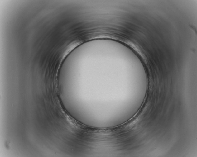 X0000098211145200804241056