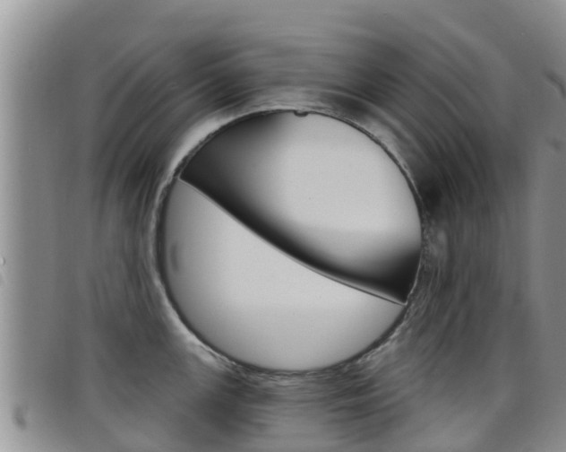 X0000098211147200804241056
