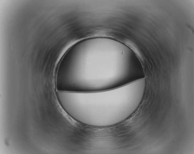 X0000098211148200804241056