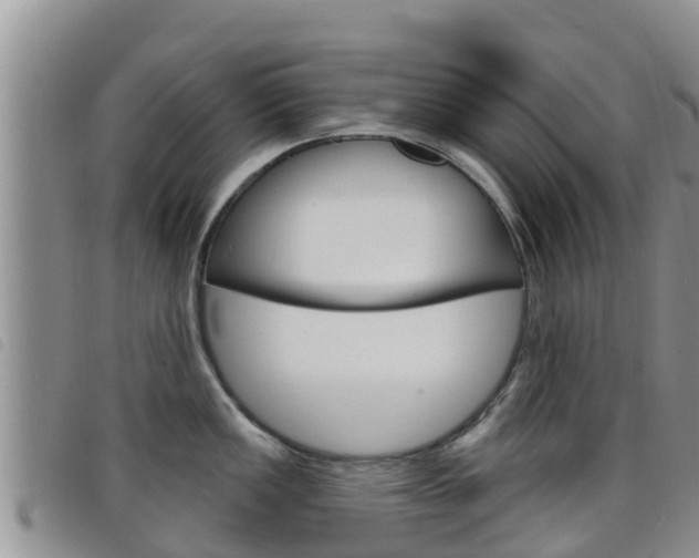 X0000098211149200804241056