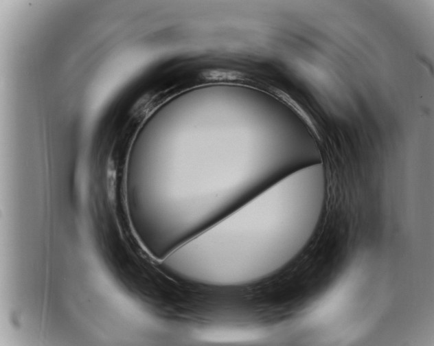 X0000098211151200804241056