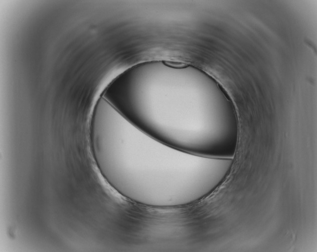 X0000098211152200804241056