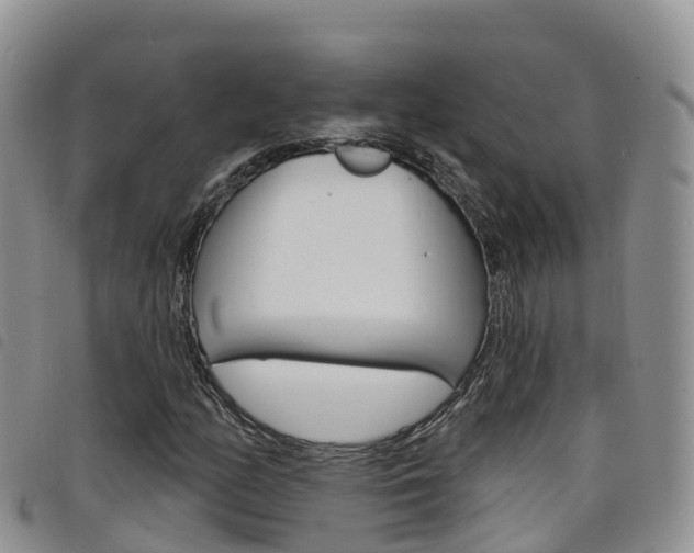 X0000098211158200804241055
