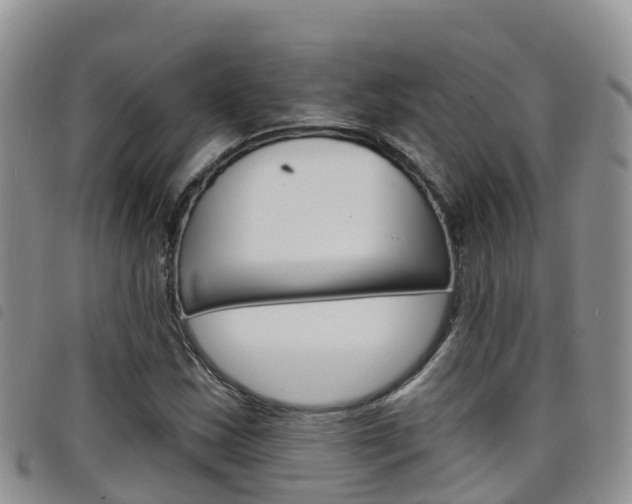 X0000098211163200804241055