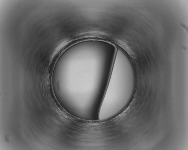 X0000098211164200804241055