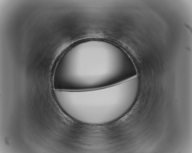 X0000098211168200804241055