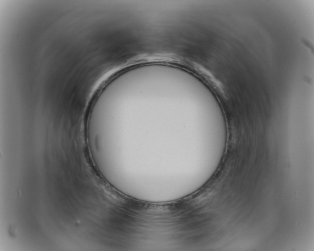 X0000098211174200804241055