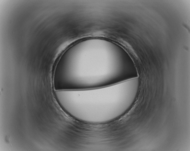 X0000098211176200804241055