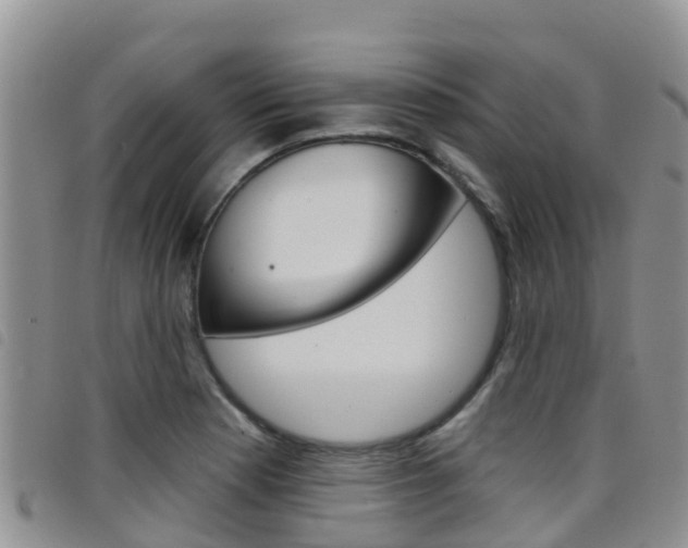 X0000098211177200804241055