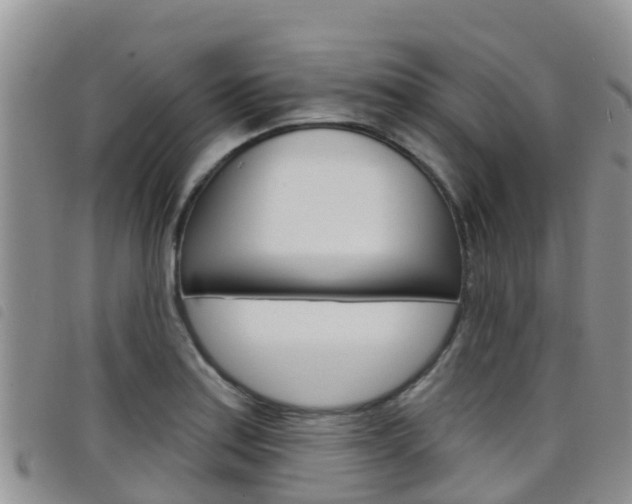 X0000098211179200804241055