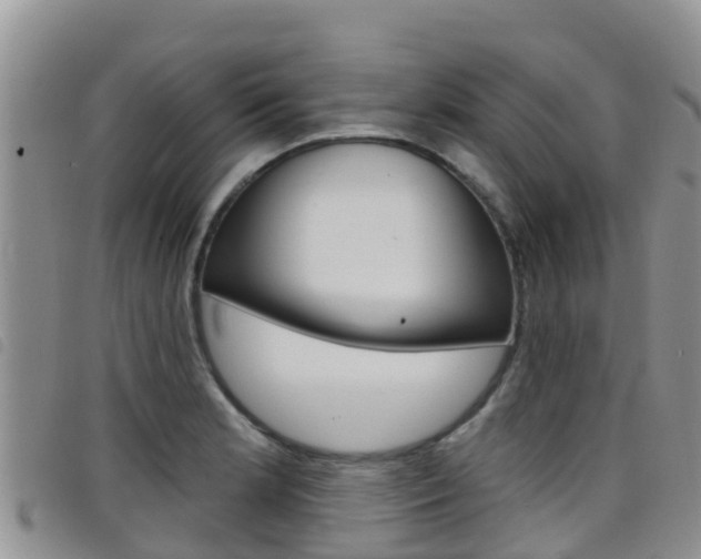 X0000098211181200804241055