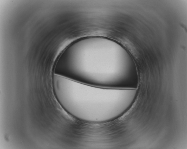 X0000098211184200804241055