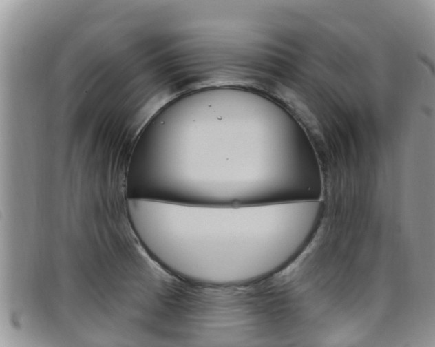 X0000098211185200804241054