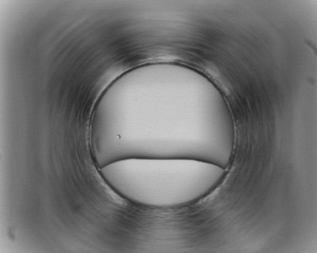 X0000098211186200804241054