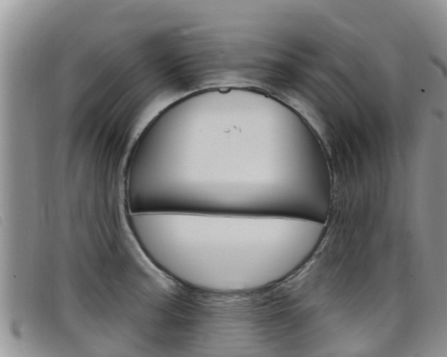X0000098211187200804241054