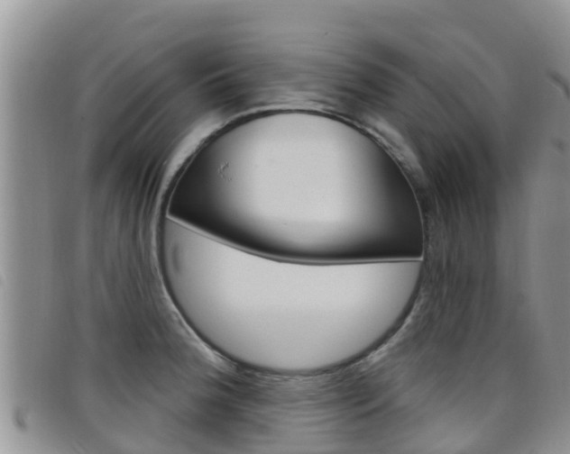 X0000098211188200804241054